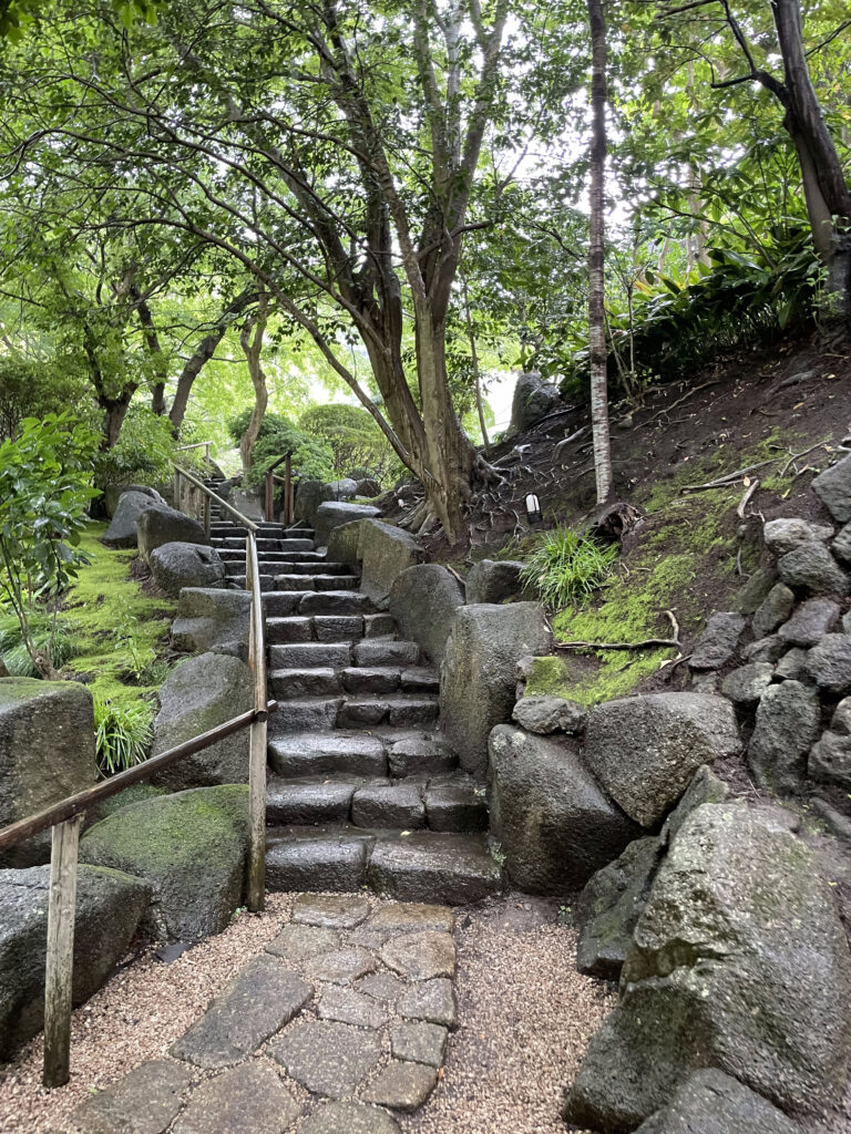 紫陽花