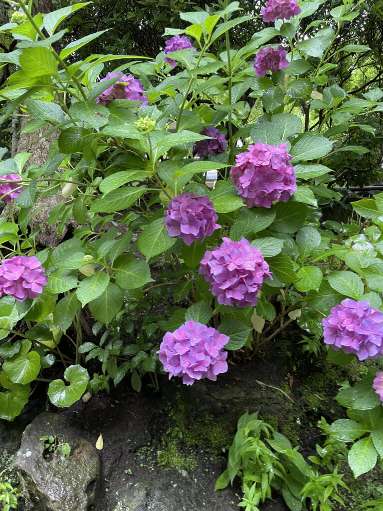 石段