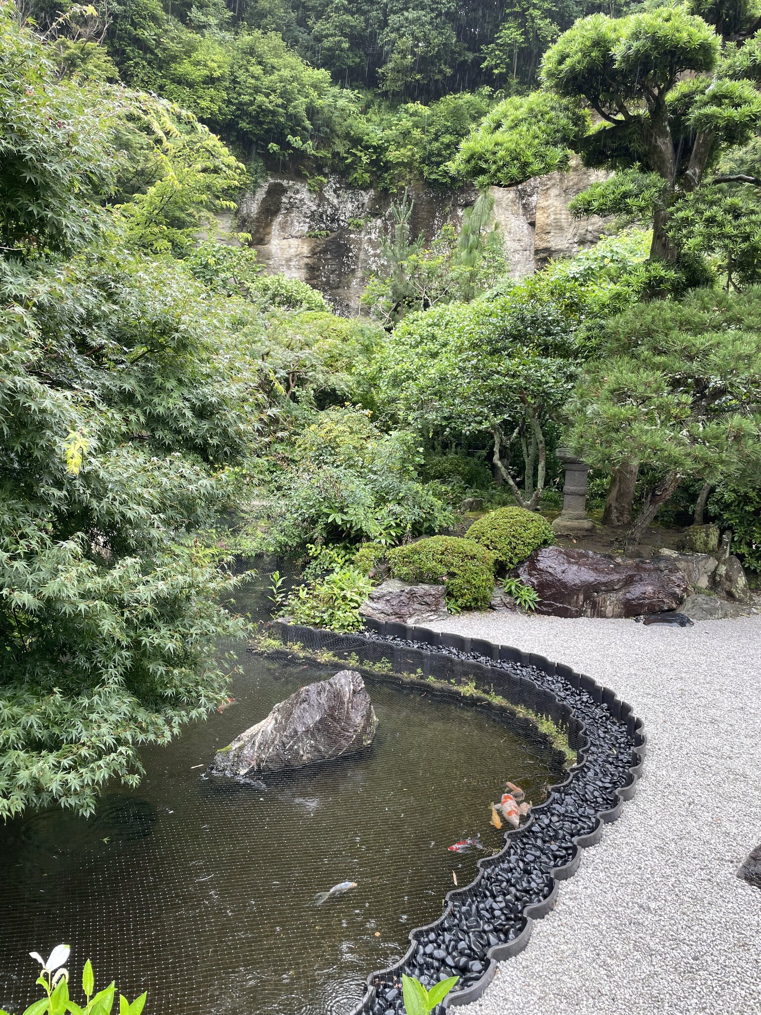報国寺の枯山水