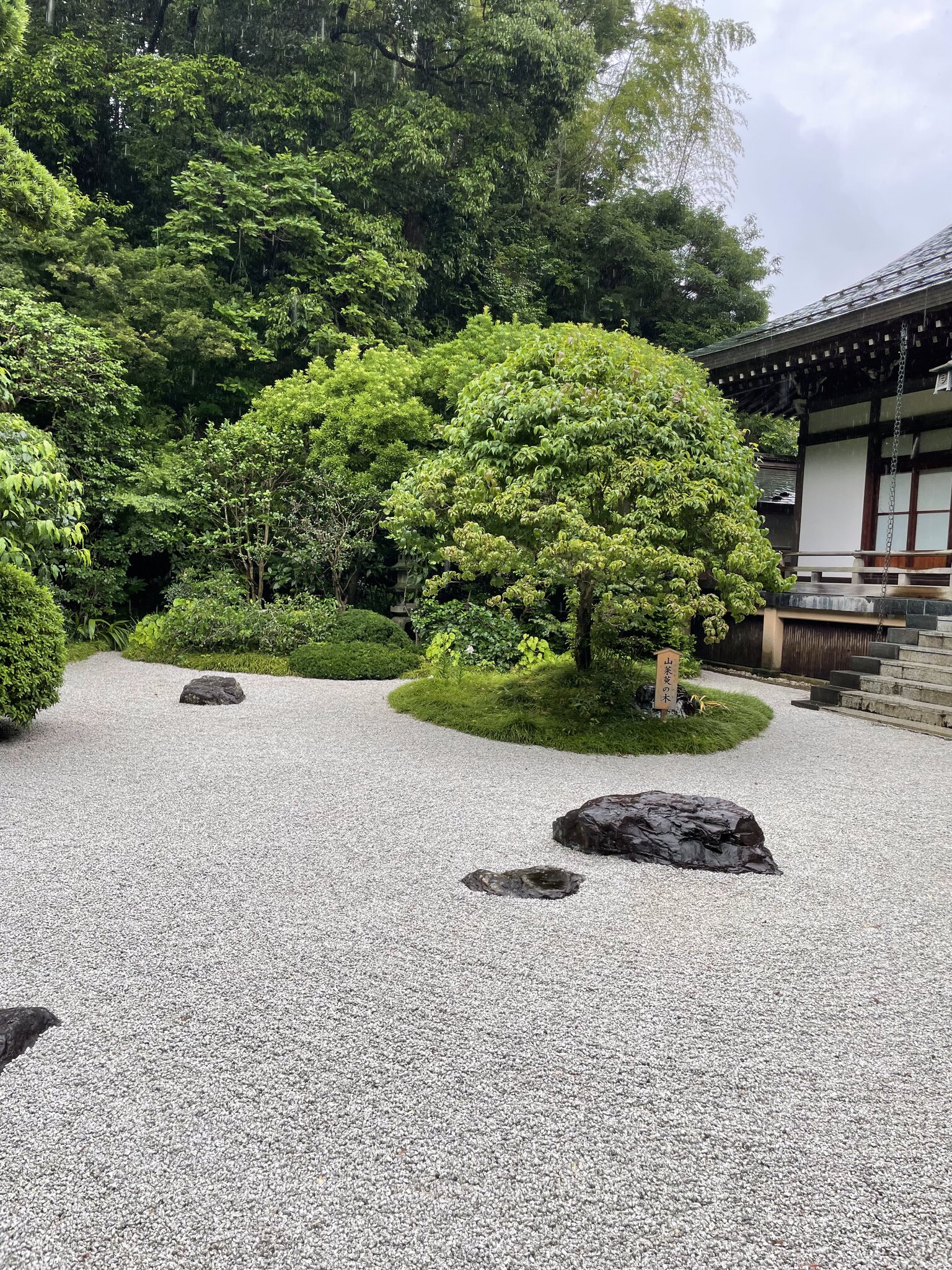 報国寺の枯山水