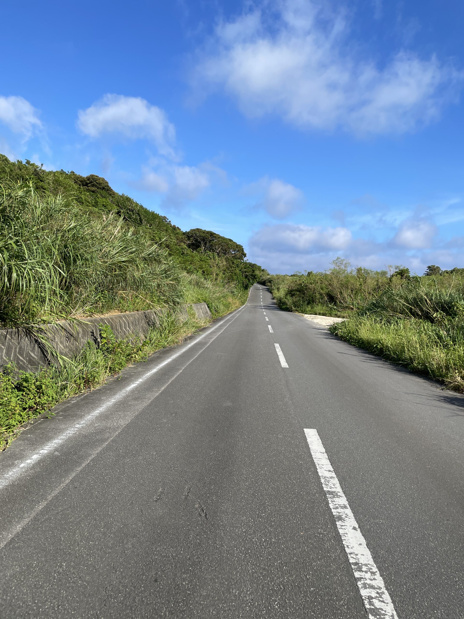 古宇利島へ向かう一本道