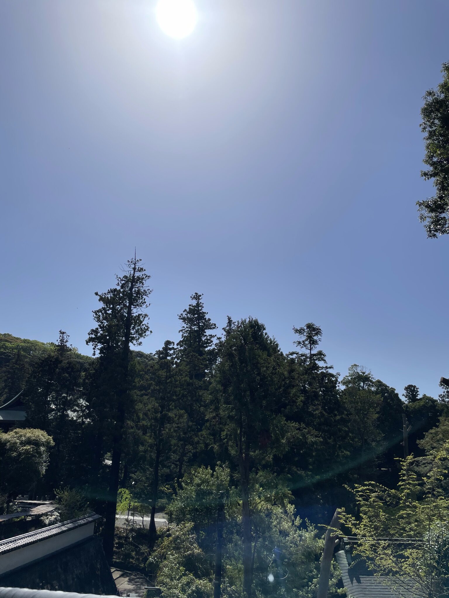 円覚寺の木々と青空