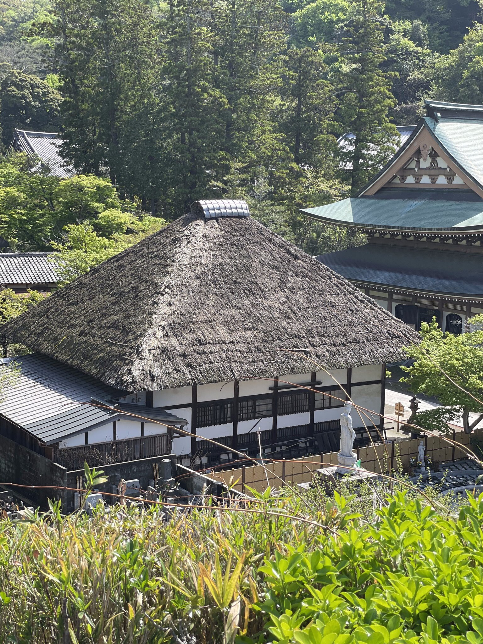茅葆き屋根と伽藍